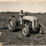 Muestra fotográfica «Pioneros Japoneses del Tabaco en Jujuy»